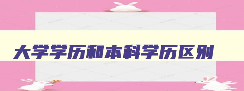 大学学历和本科学历区别 大专本科专科哪个学历高