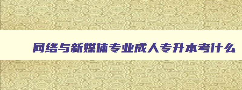 网络与新媒体专业成人专升本考什么 专升本网络与新媒体专业学什么