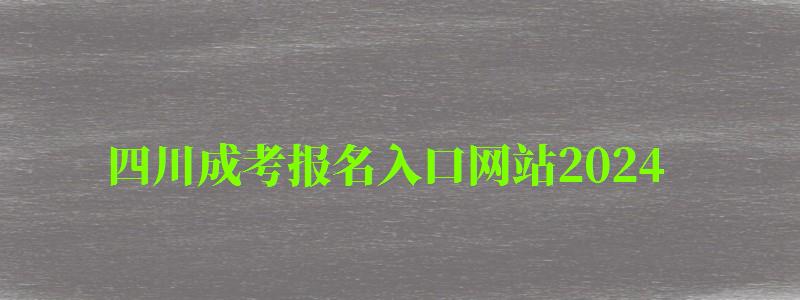 四川成考报名入口网站2024