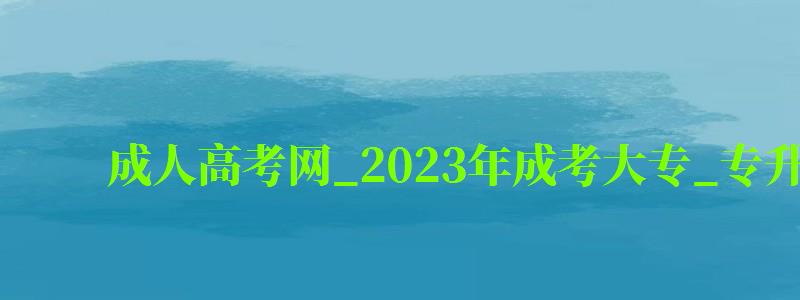 成人高考网_2024年成考大专_专升本报名招生平台（成人高考招生考试信息网）