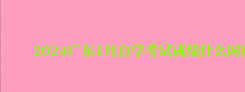 2024广东1月自学考试成绩什么时候出来（2024年4月广东自学考试成绩公布时间）